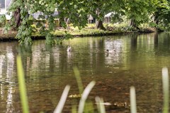 Verkocht: Dorpsdijk 38, 3161 KG Rhoon