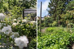 Verkocht: Zevenbergsedijkje 94, 2988 CJ Ridderkerk