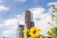 Verkocht: Landverhuizersplein 136, 3072 MH Rotterdam