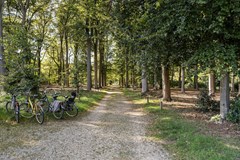 Verkocht: Scherpenzeelseweg 64a, 3956 KG Leersum