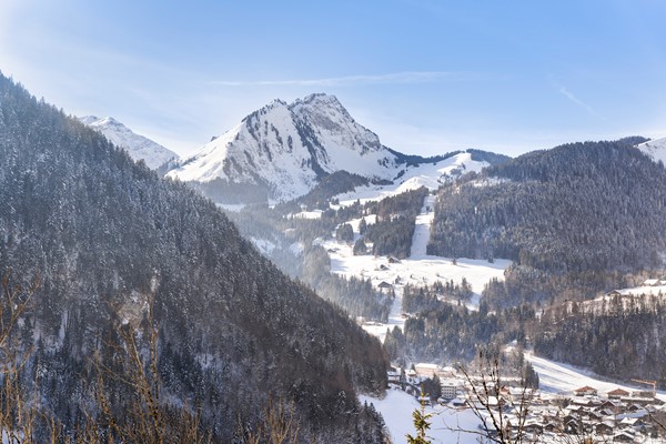 Medium property photo - Impasse du Cottage, 74360 Abondance