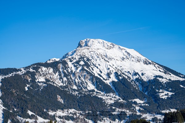 Medium property photo - Impasse du Cottage, 74360 Abondance