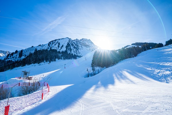 Medium property photo - Impasse du Cottage, 74360 Abondance