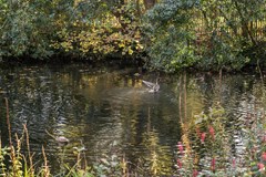 Verkocht: Provinciënlaan 3B42, 2101 SN Heemstede