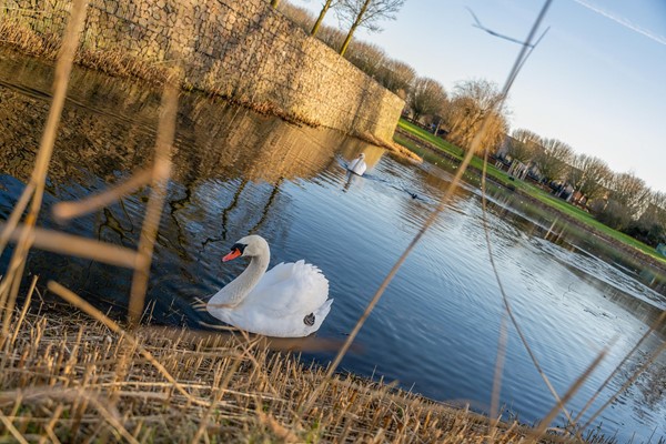 Medium property photo - Marshalllaan 30, 3223 TK Hellevoetsluis