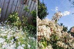 Verkocht: Cornelis Smitstraat 76, 2951 AC Alblasserdam