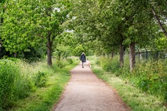 Verkocht: Molenwerf 13, 2635 JT Den Hoorn