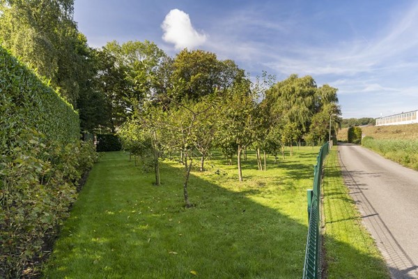 Medium property photo - Reijerweg 4, 2983 AT Ridderkerk