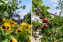 Verkocht: Ebstroom 32, 3224 CD Hellevoetsluis