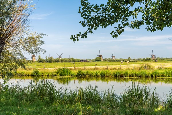 Medium property photo - Rijnstraat 17a, 2953 ET Alblasserdam