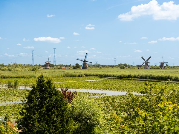 Medium property photo - Pijlstoep 40, 2953 CS Alblasserdam