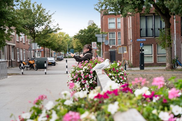 Medium property photo - Zwijndrechtsestraat 8, 3073 RN Rotterdam