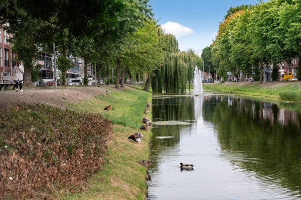 Medium property photo - Zwijndrechtsestraat 8, 3073 RN Rotterdam