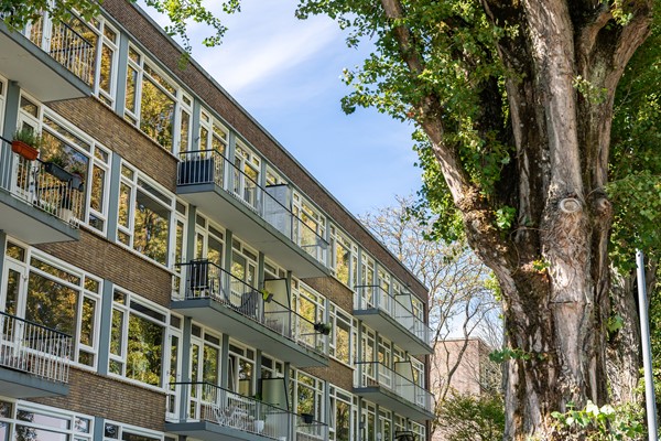 Medium property photo - Paltroklaan 45, 3052 HG Rotterdam