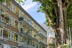 Verkocht onder voorbehoud: Paltroklaan 45, 3052 HG Rotterdam
