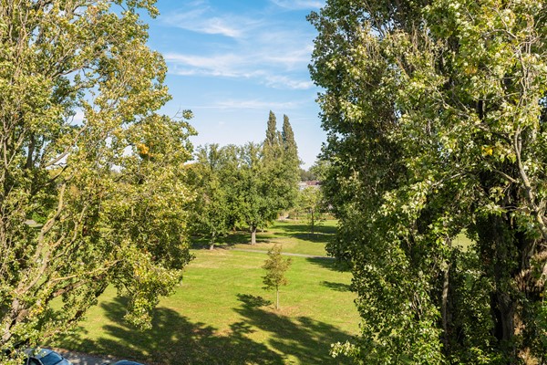 Medium property photo - Paltroklaan 45, 3052 HG Rotterdam