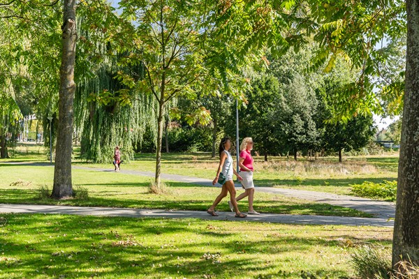 Medium property photo - Paltroklaan 45, 3052 HG Rotterdam