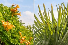 Verkocht: Kraal 23, 3362 WE Sliedrecht