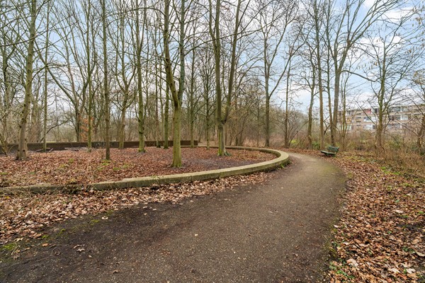 Medium property photo - Hieronymus Boschpad 4, 3202 TK Spijkenisse