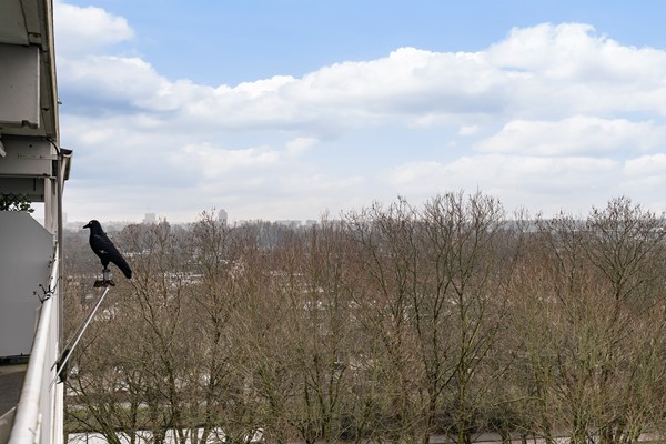 Medium property photo - Zernikeplaats 304, 3068 ZS Rotterdam