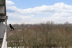 Nieuw in verkoop: Zernikeplaats 304, 3068 ZS Rotterdam