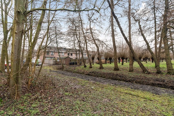 Medium property photo - Bergoord 11, 3079 MA Rotterdam