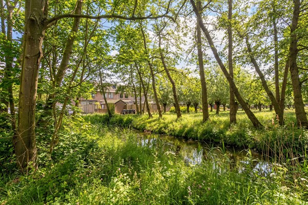 Medium property photo - Bergoord 11, 3079 MA Rotterdam