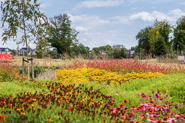 Medium property photo - Van der Duijn van Maasdamweg 716, 3045 PE Rotterdam
