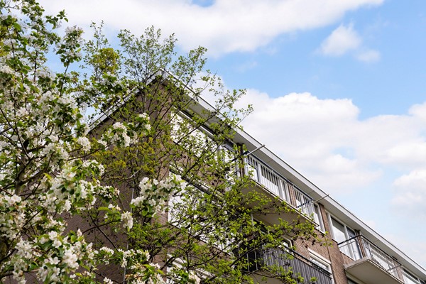 Medium property photo - Quadenoord 276, 3079 XK Rotterdam