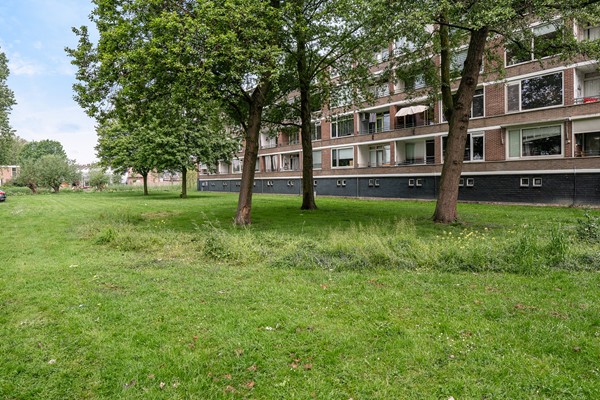 Medium property photo - Staringlaan 224, 3351 TG Papendrecht