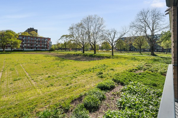 Medium property photo - Socratesstraat 141, 3076 BV Rotterdam