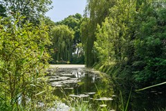 Verkocht: Sering 18, 3161 CT Rhoon