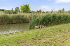 Koop: Vrijenburglaan 275, 2994 HA Barendrecht