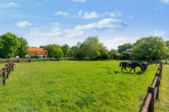 Koop: Kraakweg 3, 3238 LN Zwartewaal