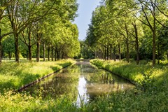 Koop: Beverwaardseweg 255, 3077 GL Rotterdam