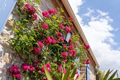 Koop: Le Clos Robert, 85560 Longeville-sur-Mer