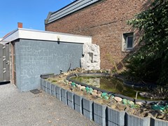 IMG_0908.jpeg