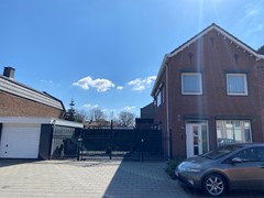 IMG_0911.jpeg