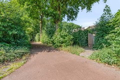 Desmijndijk954706gsRoosendaalNL-41.jpg