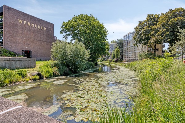 PastoorvanAkenstraat1044703bdRoosendaalNL-43.jpg