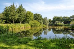 GerardterBorchstraat444703nnRoosendaalNL-43.jpg