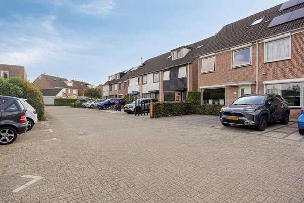 Ambrozijnberg3544707mtRoosendaal-03.jpg