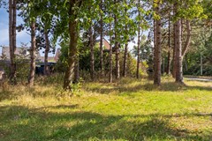 Ambrozijnberg3544707mtRoosendaal-34.jpg