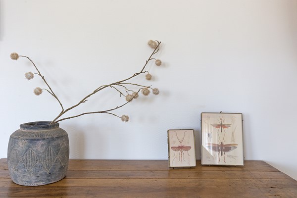 Medium property photo - Mary van der Sluisstraat 272, 1095 ME Amsterdam