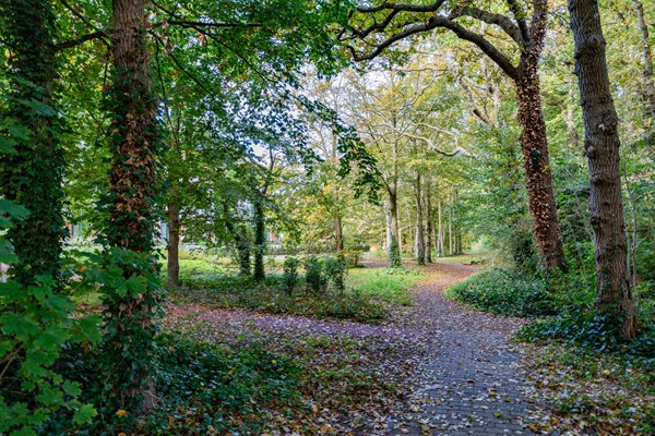 Medium property photo - Oude Parklaan 104I, 1901 ZZ Castricum