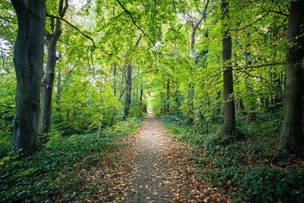 Medium property photo - Oude Parklaan 104I, 1901 ZZ Castricum