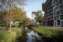 DSC09232.jpg