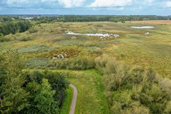 DJI_0828.jpg