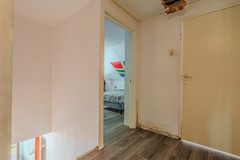 DSC00420-HDR.jpg