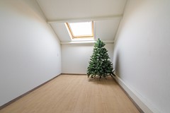 DSC04799-HDR.jpg